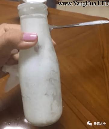 酸奶使用方法