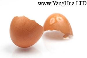 雞蛋殼延緩紫羅蘭土壤植料變酸