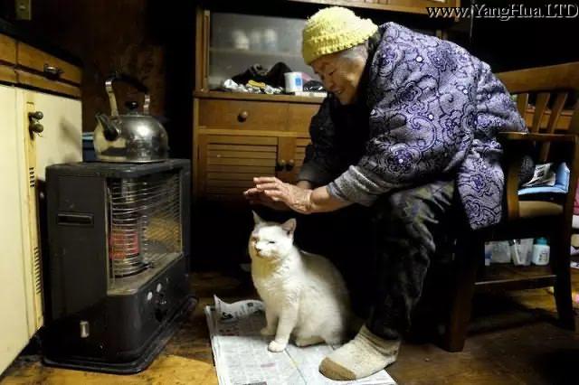 冬天來了， 我在爐子前烤火， 奶奶也用她溫暖的手掌， 給我暖身子。