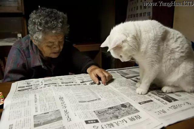 「奶奶，報紙上寫的啥呀？」
