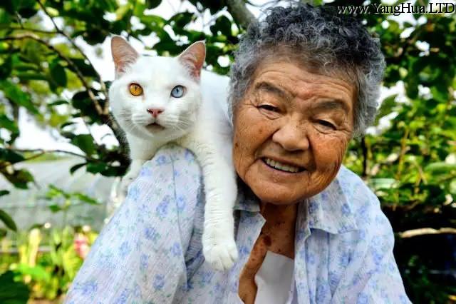有奶奶的福丸， 是世界上最幸福的小貓， 有福丸的奶奶， 是世界上最幸福的奶奶。 他們為擁有彼此而幸福。