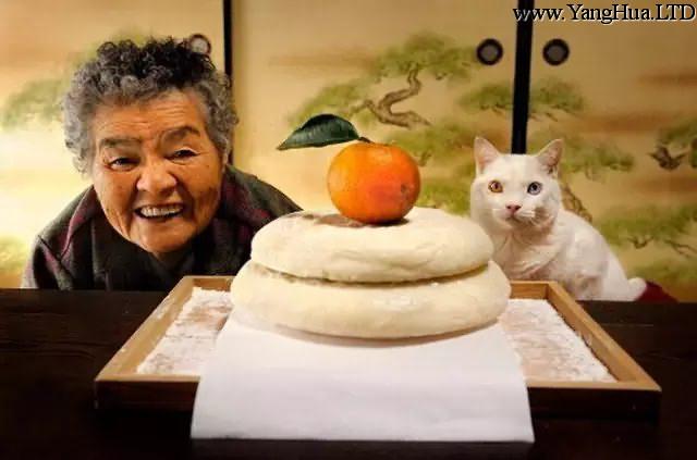 90歲奶奶與一隻耳聾貓，度過11年田園生活，感動了無數人！