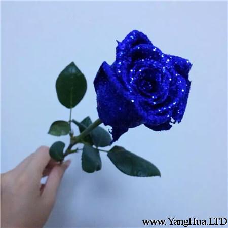 藍色妖姬花朵