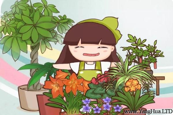 生活不如意的時候，就養盆花草吧！