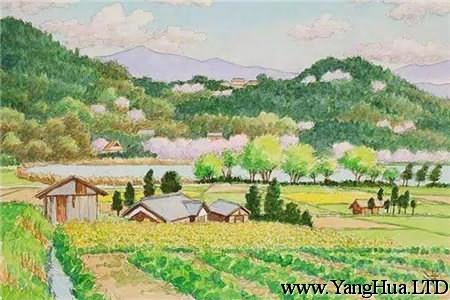 菜園