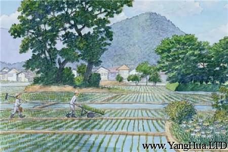 種豆南山，東籬采菊
