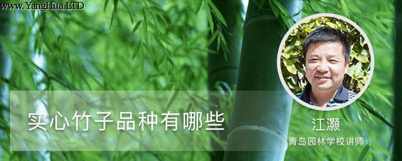 實心竹子品種有哪些
