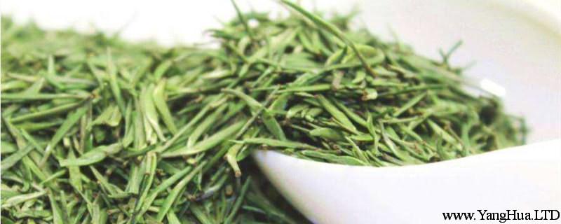 竹葉青是什麼茶