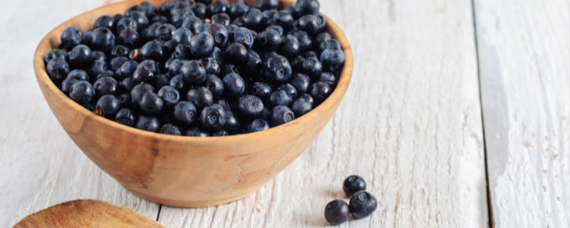藍莓品種有哪些，什麼品種好