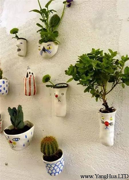 牆上植物花樣多