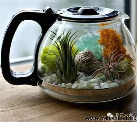 茶壺花器