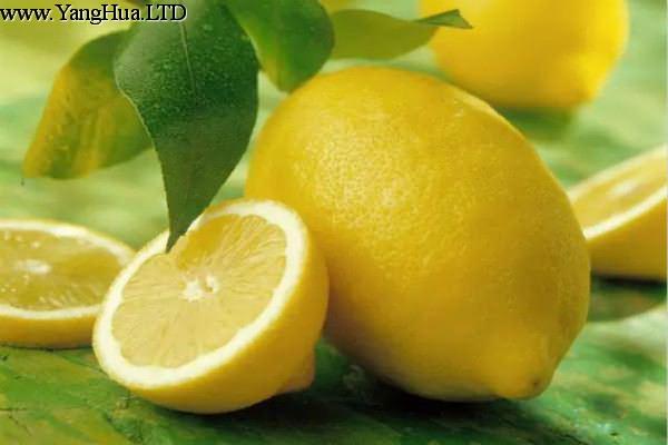 檸檬的常見品種