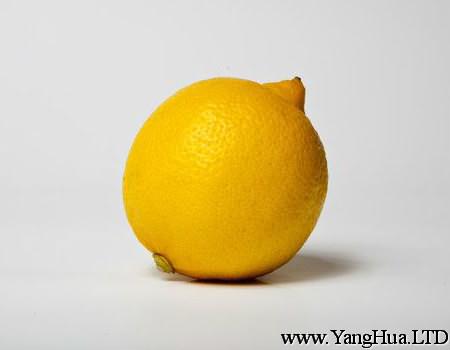 盆栽檸檬的授粉方法