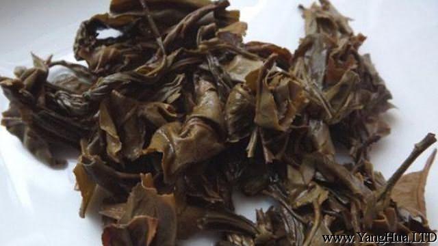 茶葉渣滓可以養花嗎