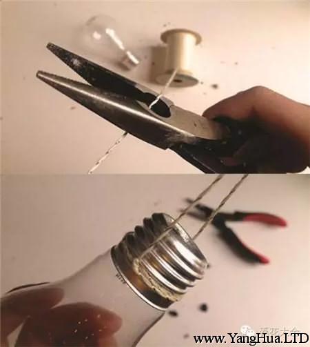 燈泡做水培瓶