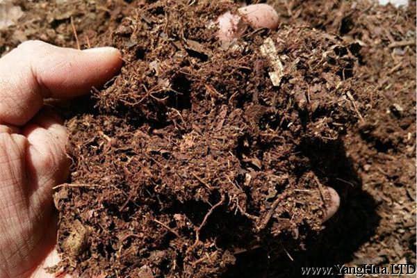 腐葉土是什麼