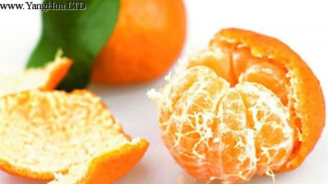 橘皮水怎麼澆花