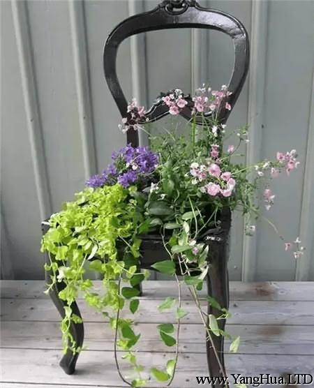 椅子小花園