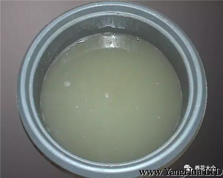 泡豆子（薏米/八寶粥）水