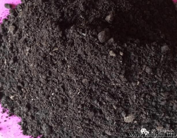 木炭和土壤攪拌
