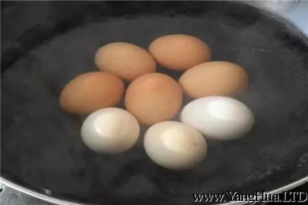 煮雞蛋水