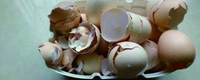 雞蛋殼可以做花肥嗎，哪些花可以用雞蛋殼
