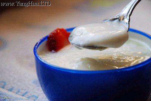 過期酸奶