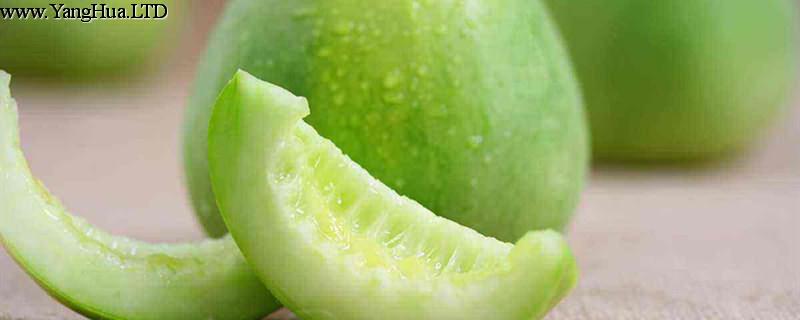 香瓜的養殖方法