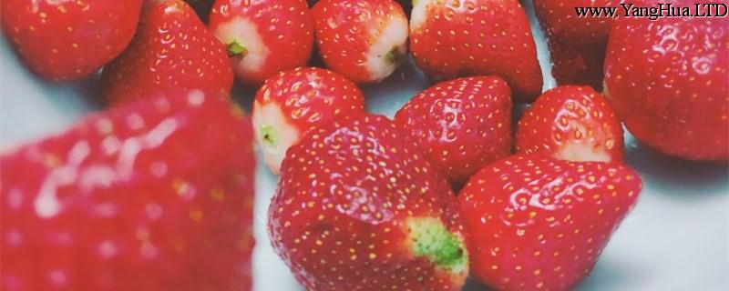 草莓什麼時候種，草莓怎麼種