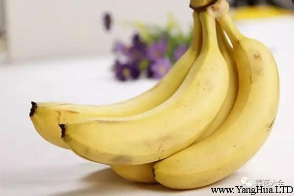 香蕉自製營養液，簡單又好用