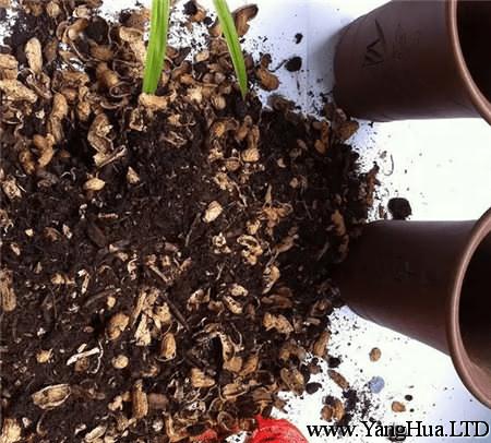 果殼改善土壤