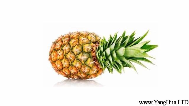 用最簡單的方法，自己動手種顆菠蘿