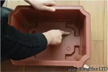 將盆底的四個排水小孔打開。