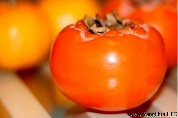 柿子的價值和食用禁忌