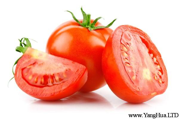 番茄的花語及植物文化