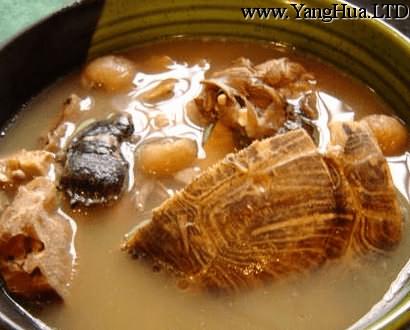 木棉草龜湯