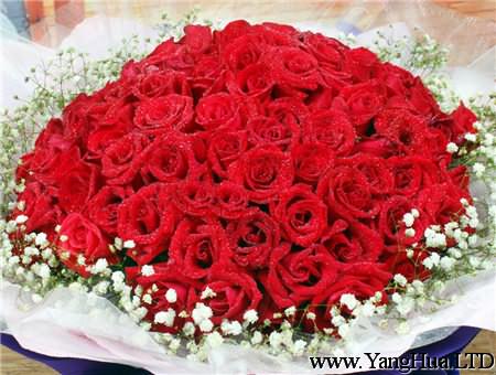 紅玫瑰花束