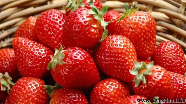孕婦可以吃草莓嗎