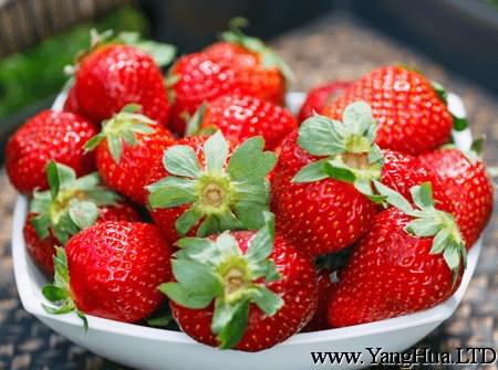 草莓可以緩解胃口不佳