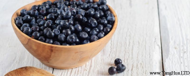 吃藍莓有什麼好處，藍莓的皮可以吃嗎
