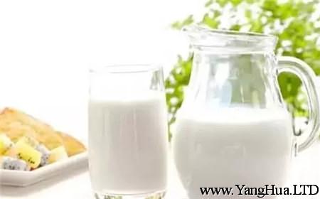 高鈣奶：並不比普通牛奶有用