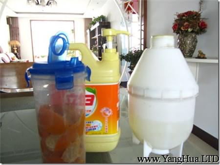 落地生根蚜蟲物理處理方法：橘皮泡水