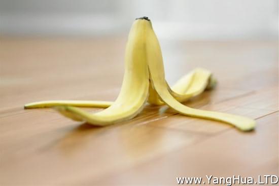香蕉皮擦拭葉片