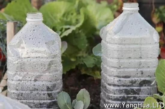 塑膠瓶做溫室