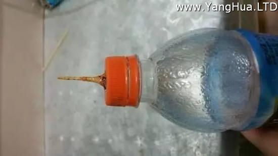 塑膠瓶做澆水神器