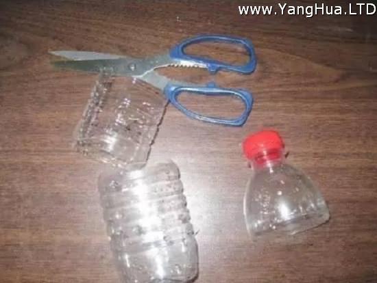 塑膠瓶播種