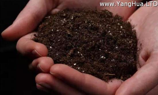 如何辨別酸鹼土壤？