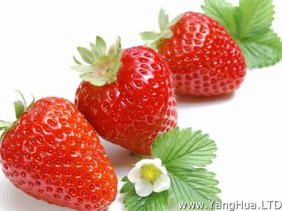 草莓什麼時候成熟