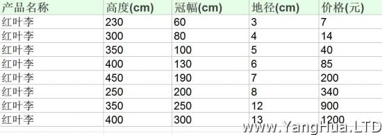 紅葉李市場價格參照表