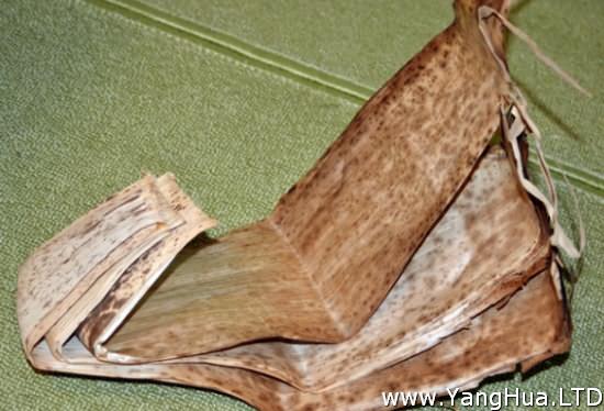 竹筍皮